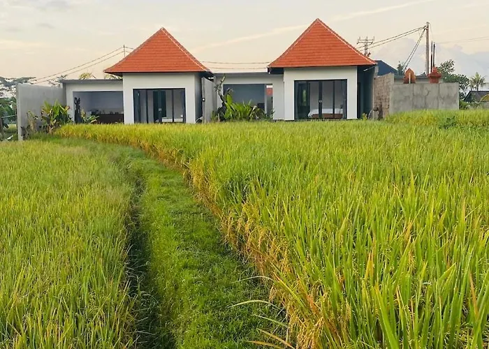 فيلة Temuku Lanyahan 2